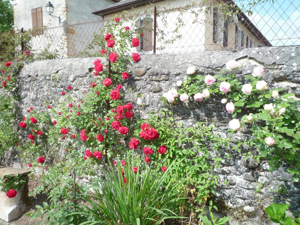 Bearn Bed & Breakfast Pau Buitenkant foto